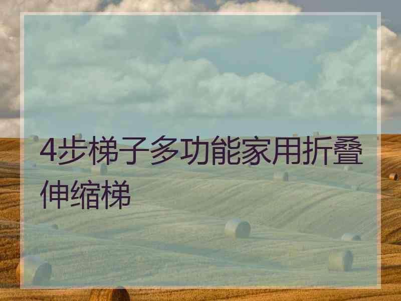 4步梯子多功能家用折叠伸缩梯
