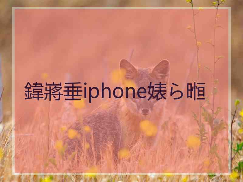 鍏嶈垂iphone婊ら暅