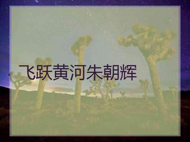 飞跃黄河朱朝辉