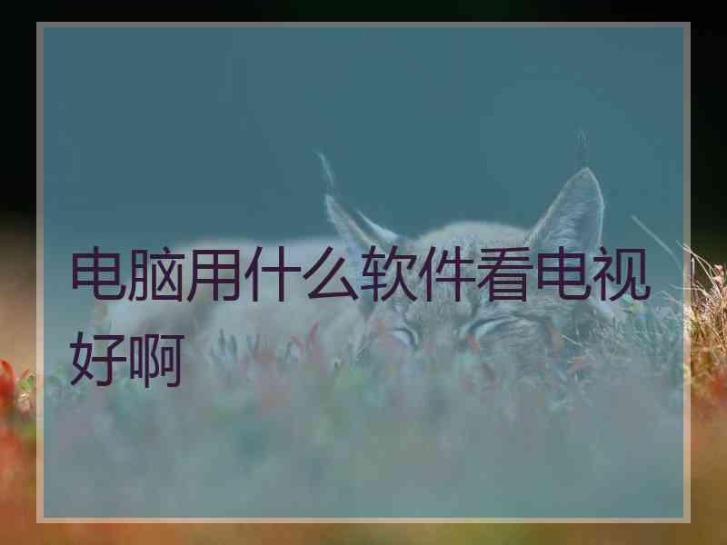 电脑用什么软件看电视好啊