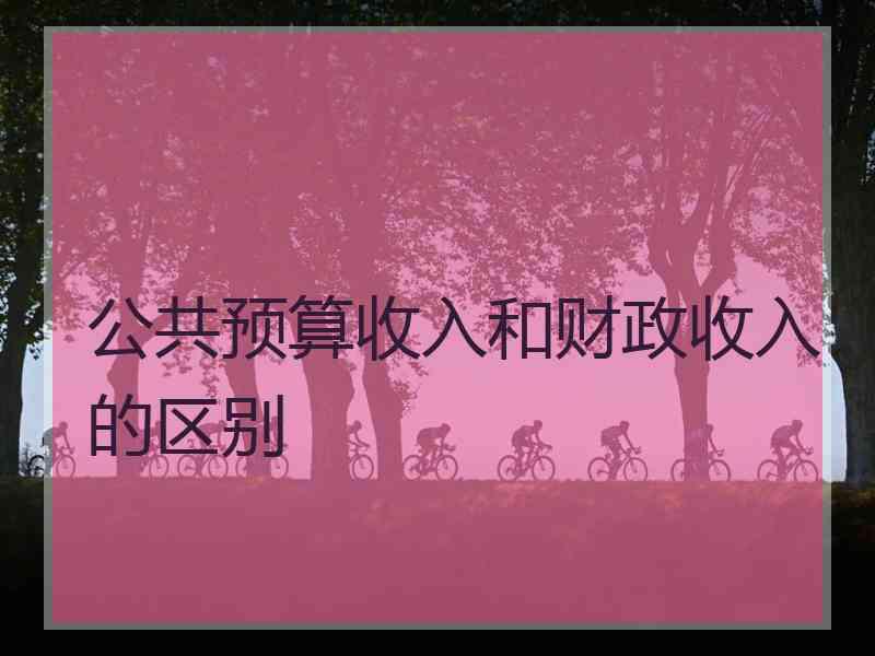 公共预算收入和财政收入的区别