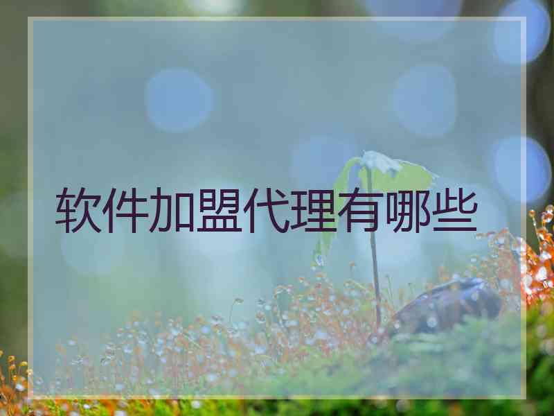 软件加盟代理有哪些