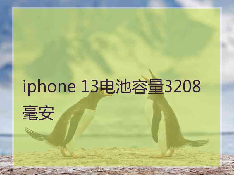 iphone 13电池容量3208毫安