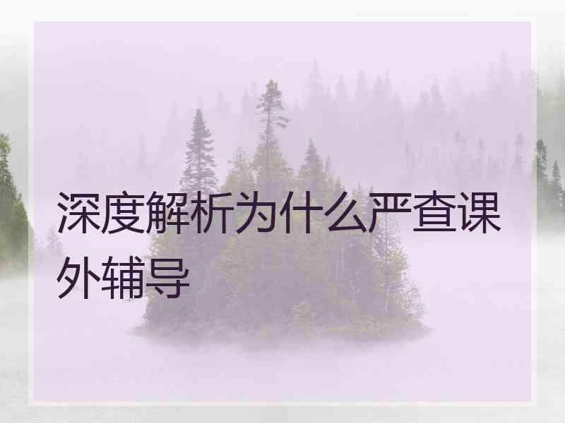 深度解析为什么严查课外辅导