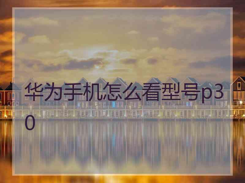 华为手机怎么看型号p30