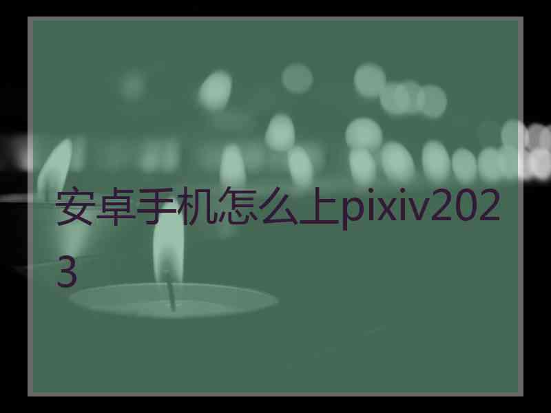 安卓手机怎么上pixiv2023