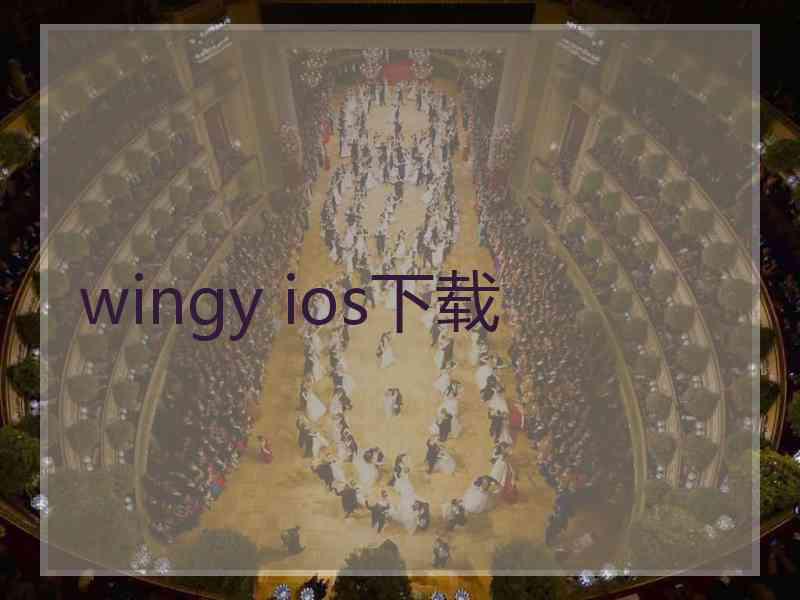 wingy ios下载