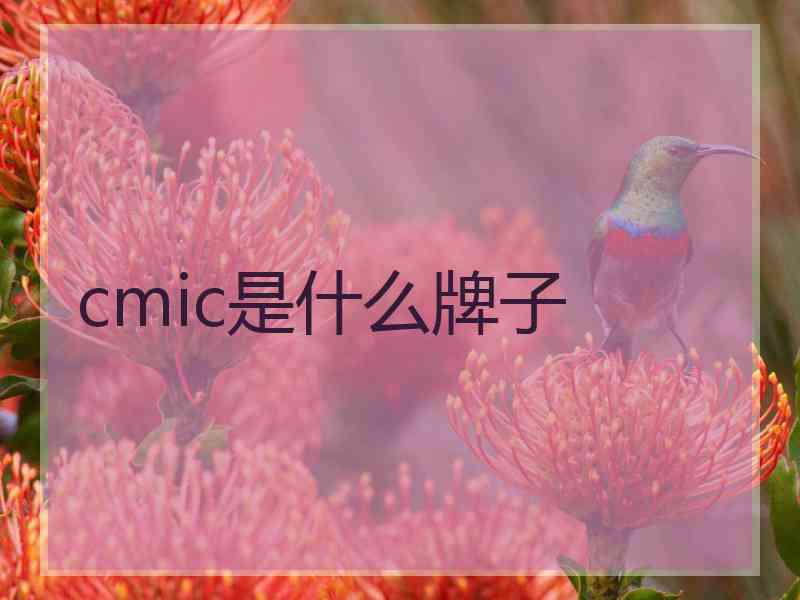 cmic是什么牌子