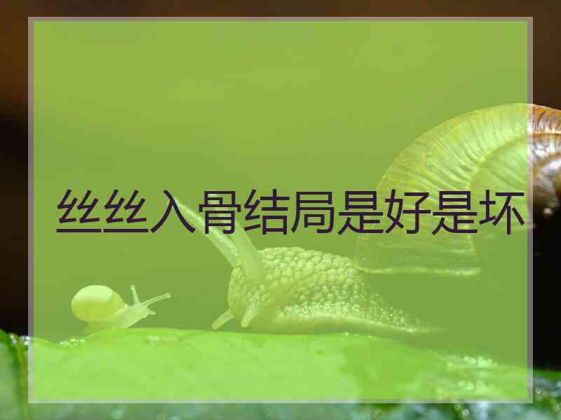 丝丝入骨结局是好是坏