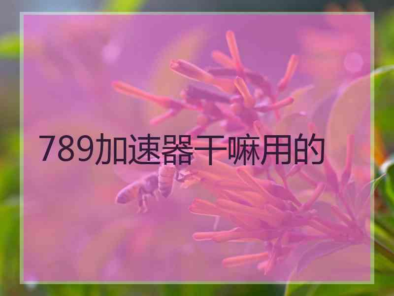 789加速器干嘛用的