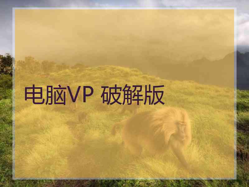 电脑VP 破解版
