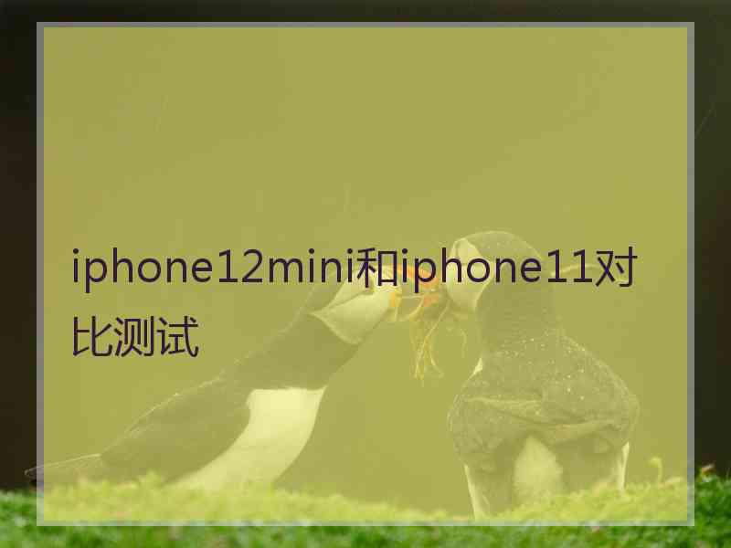 iphone12mini和iphone11对比测试