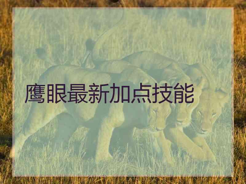 鹰眼最新加点技能
