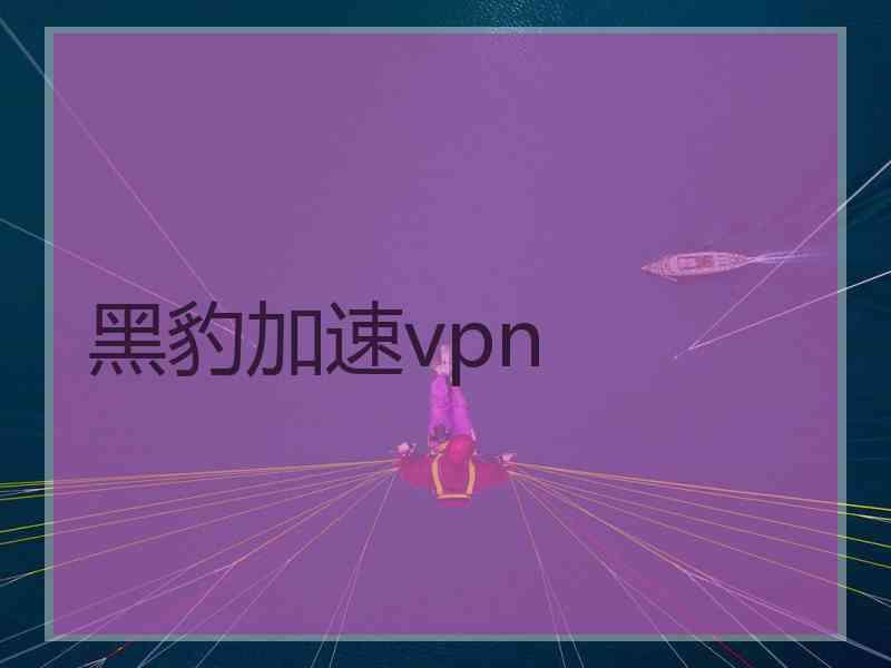 黑豹加速vpn
