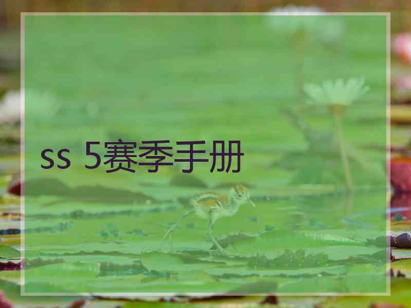 ss 5赛季手册