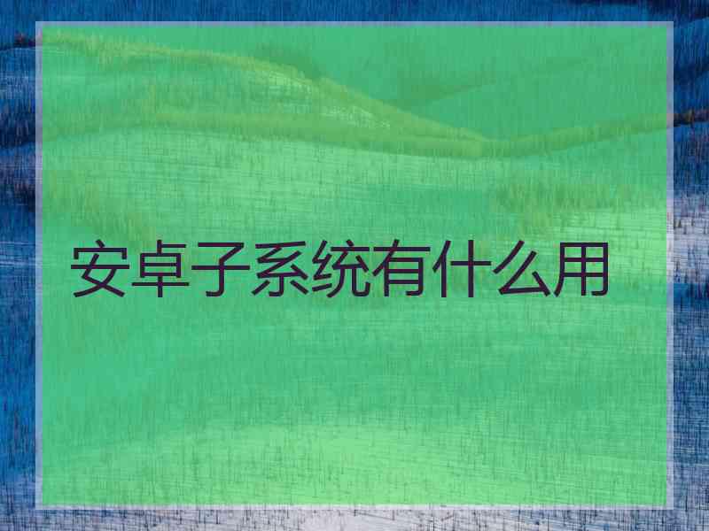 安卓子系统有什么用