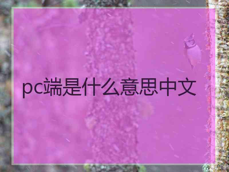 pc端是什么意思中文