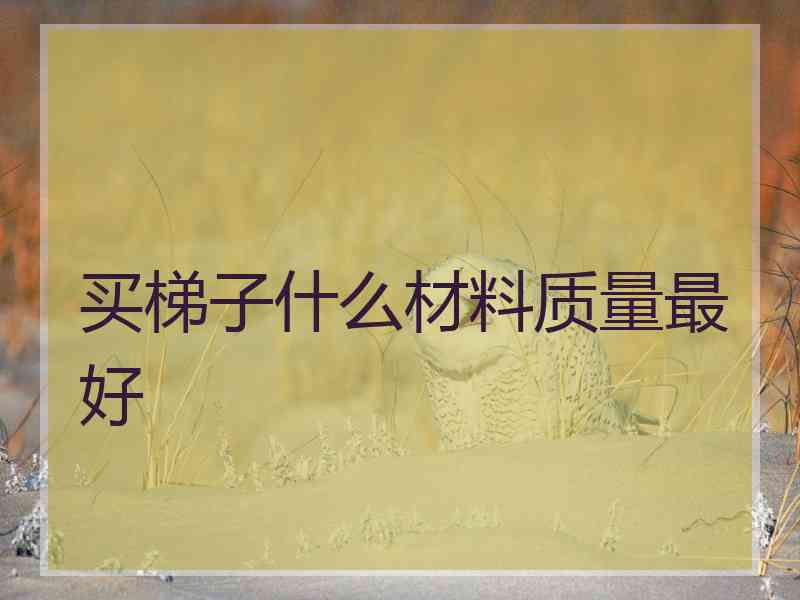 买梯子什么材料质量最好