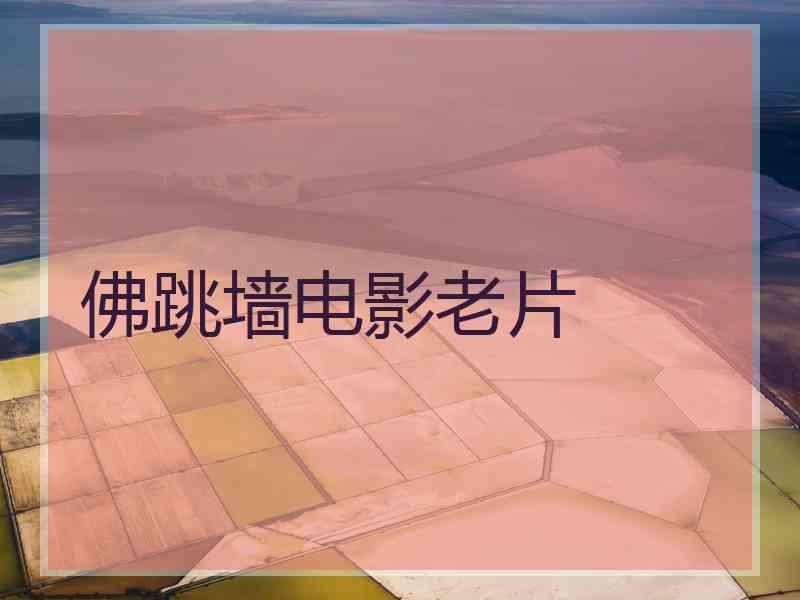 佛跳墙电影老片