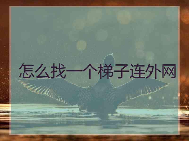 怎么找一个梯子连外网