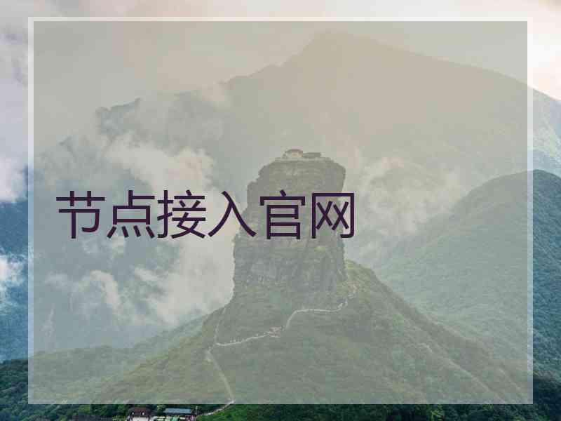 节点接入官网