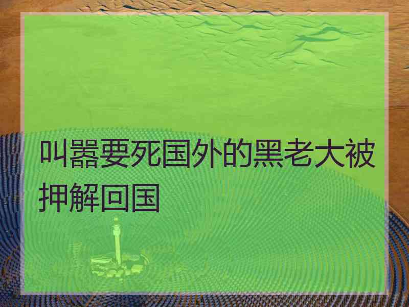 叫嚣要死国外的黑老大被押解回国
