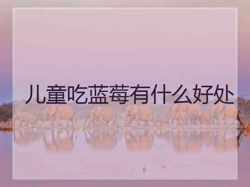 儿童吃蓝莓有什么好处