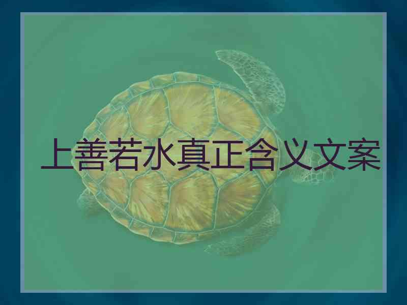 上善若水真正含义文案