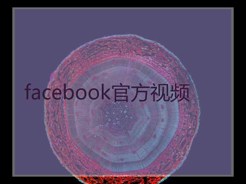 facebook官方视频