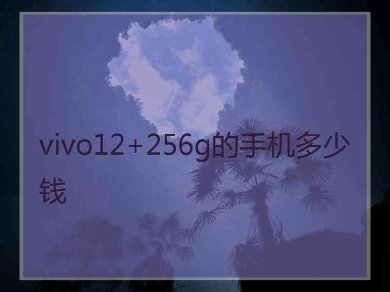 vivo12+256g的手机多少钱
