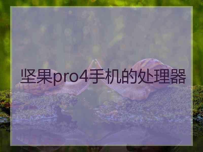 坚果pro4手机的处理器