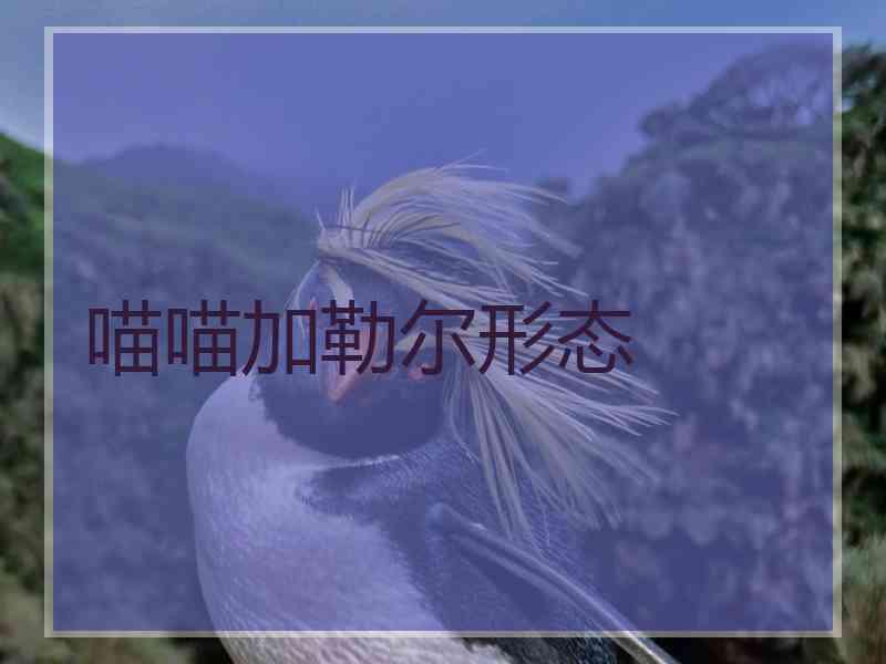 喵喵加勒尔形态