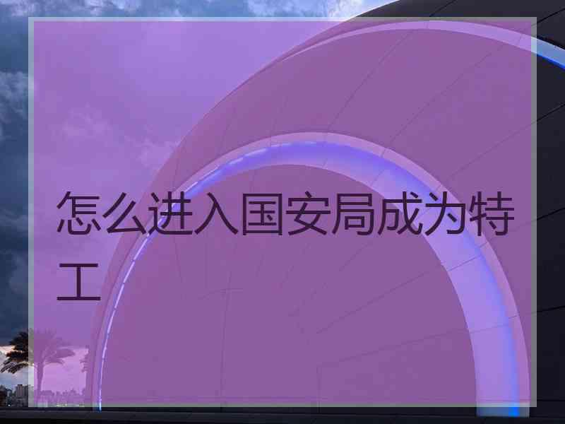 怎么进入国安局成为特工