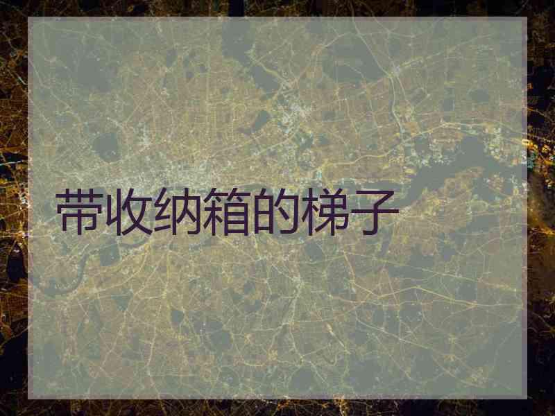 带收纳箱的梯子