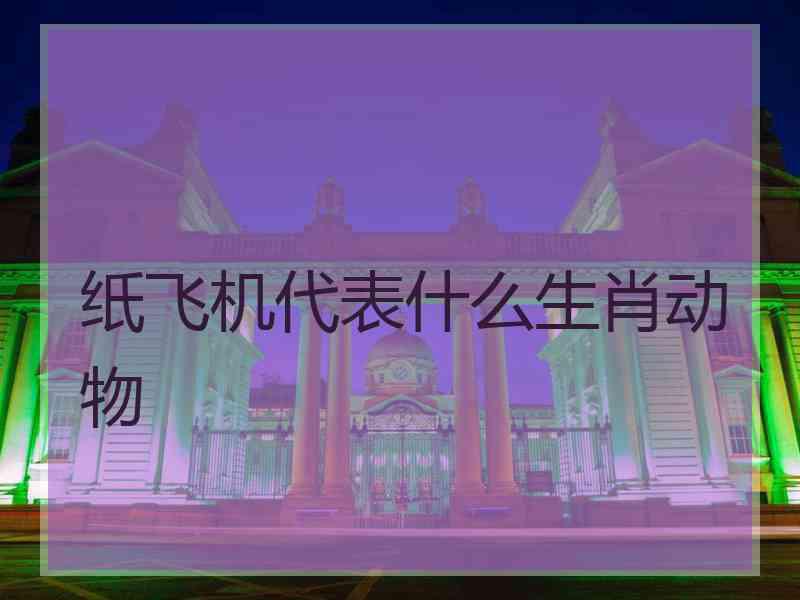 纸飞机代表什么生肖动物