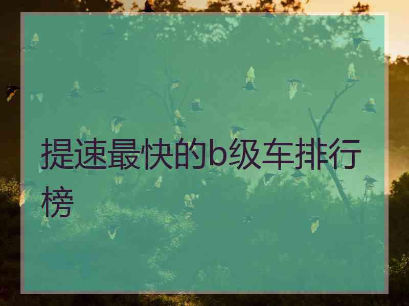 提速最快的b级车排行榜