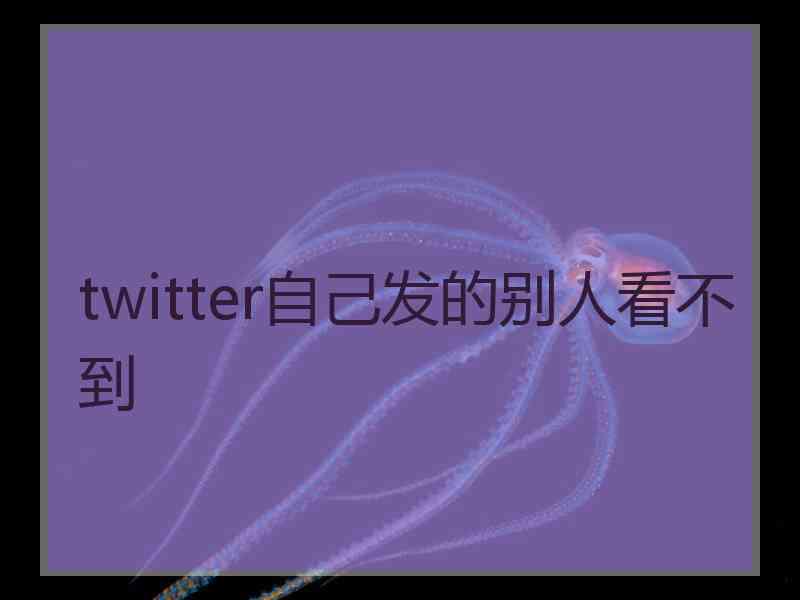 twitter自己发的别人看不到