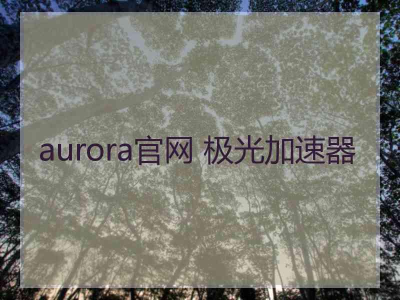 aurora官网 极光加速器