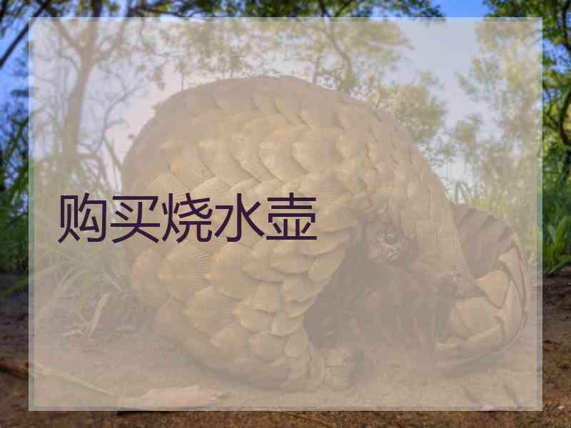 购买烧水壶