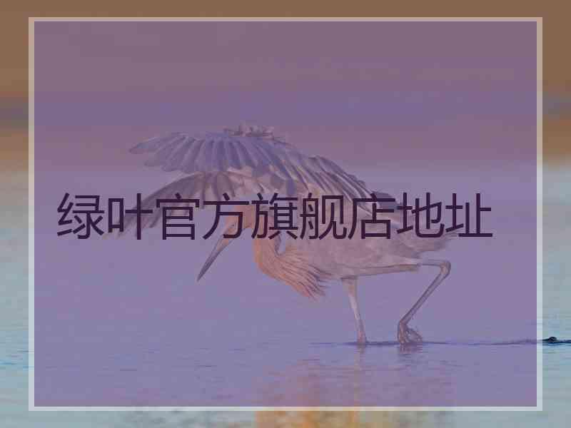 绿叶官方旗舰店地址