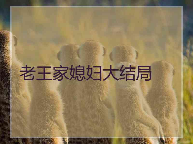 老王家媳妇大结局