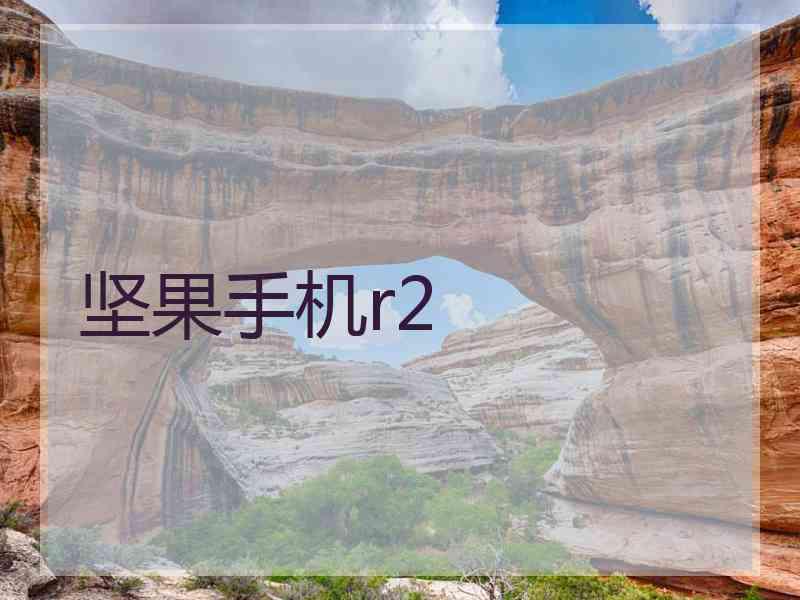 坚果手机r2