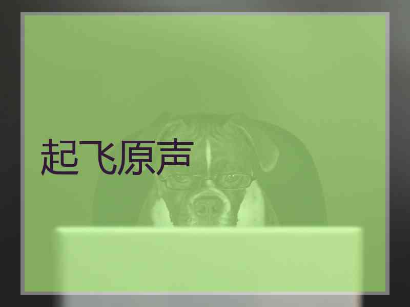 起飞原声