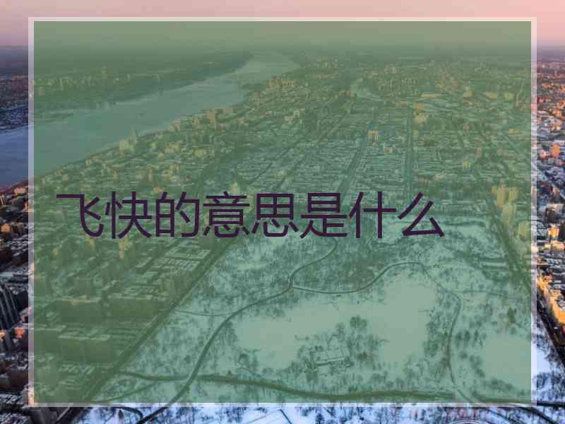 飞快的意思是什么