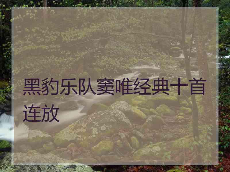 黑豹乐队窦唯经典十首连放