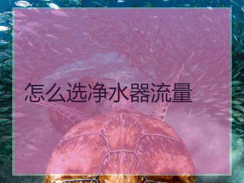 怎么选净水器流量