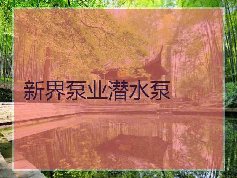 新界泵业潜水泵