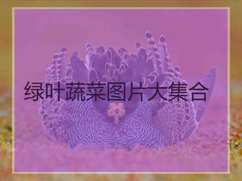 绿叶蔬菜图片大集合