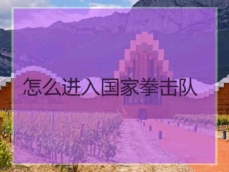 怎么进入国家拳击队
