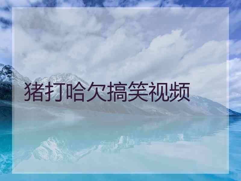 猪打哈欠搞笑视频